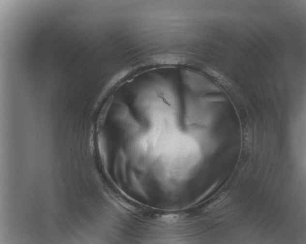 X0000059800064200511041638