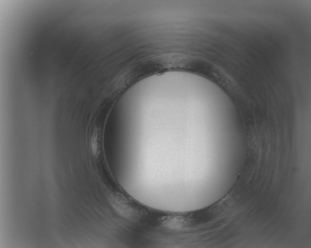 X0000059800074200511041638