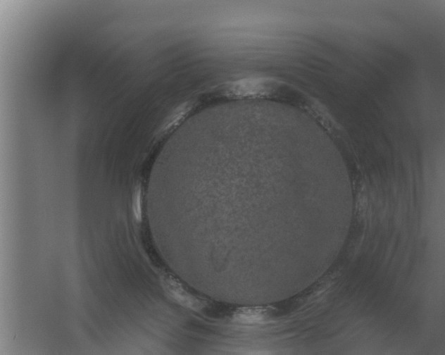 X0000059800076200511041638