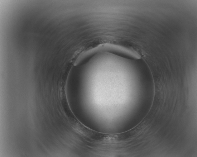 X0000059800080200511041638