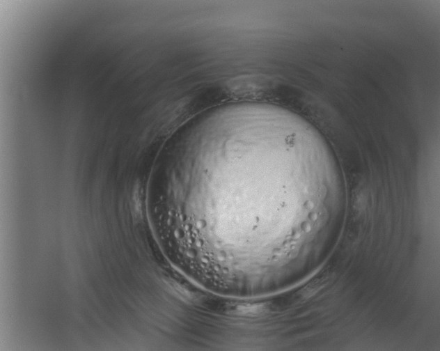 X0000059800081200511041638