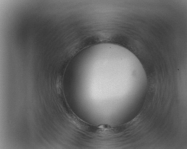 X0000059800082200511041638