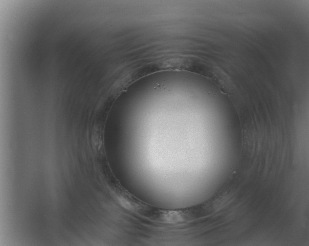 X0000059800091200511041638