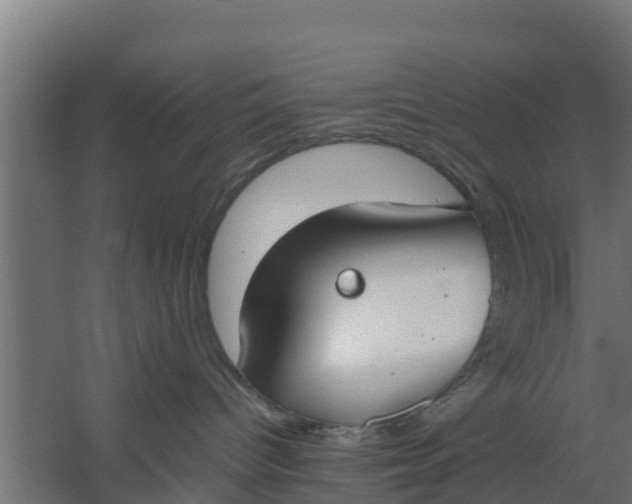 X0000059800096200511041638