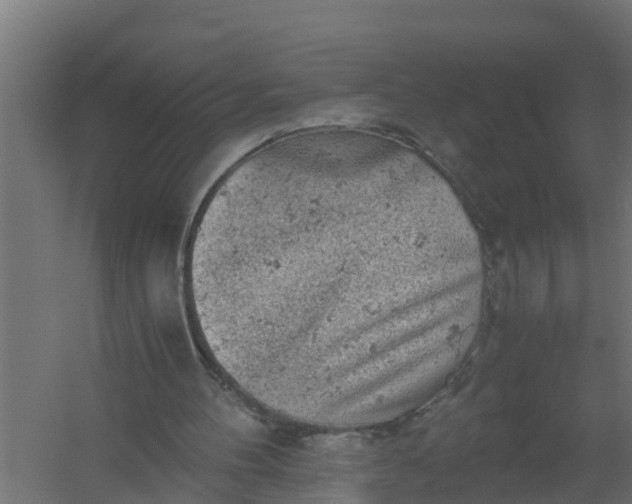 X0000059800100200511041637