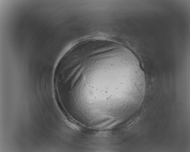 X0000059800102200511041637