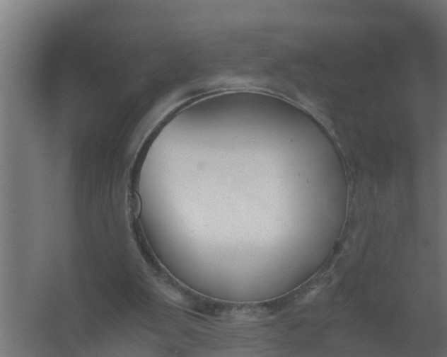 X0000059800103200511041637