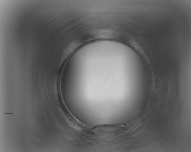 X0000059800106200511041637