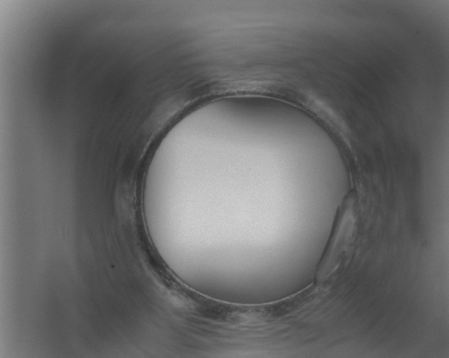 X0000059800107200511041637