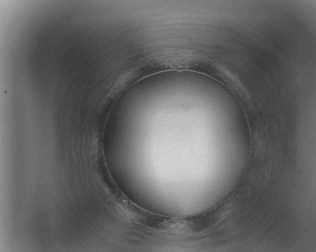 X0000059800113200511041637