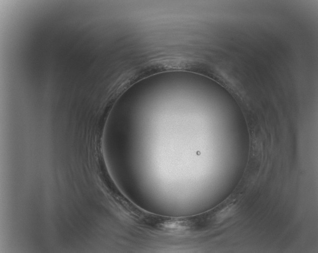 X0000059800117200511041637