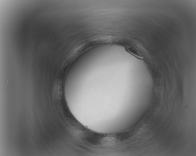 X0000059800119200511041637