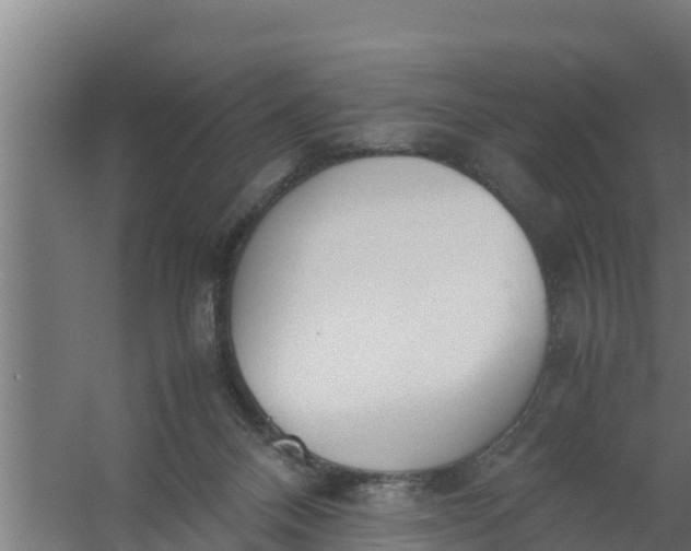 X0000059800120200511041637