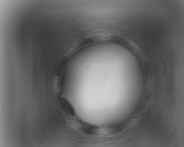 X0000059800121200511041637