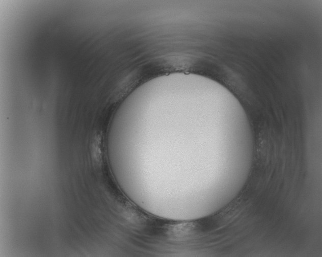 X0000059800122200511041637