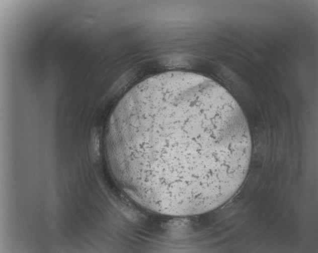 X0000059800124200511041637