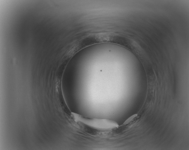 X0000059800125200511041637