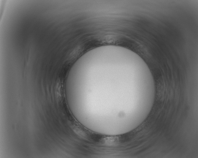 X0000059800126200511041637