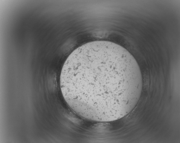 X0000059800128200511041637