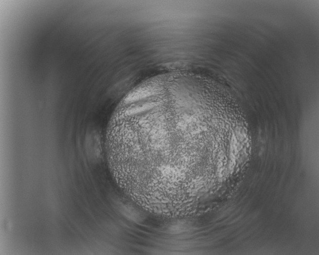 X0000059800130200511041637