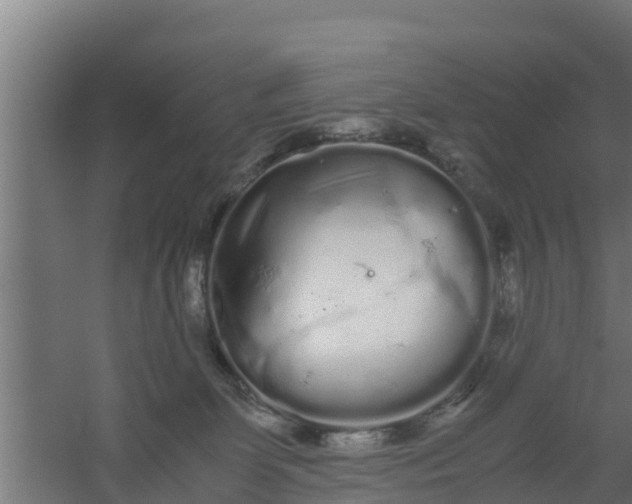 X0000059800131200511041637