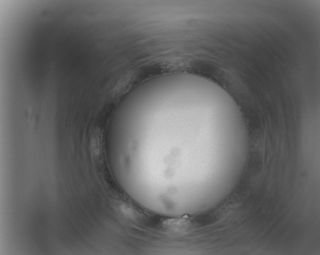 X0000059800133200511041637