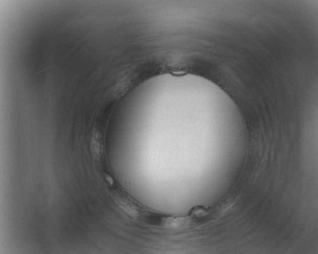 X0000059800135200511041637