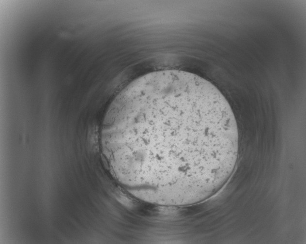 X0000059800144200511041637