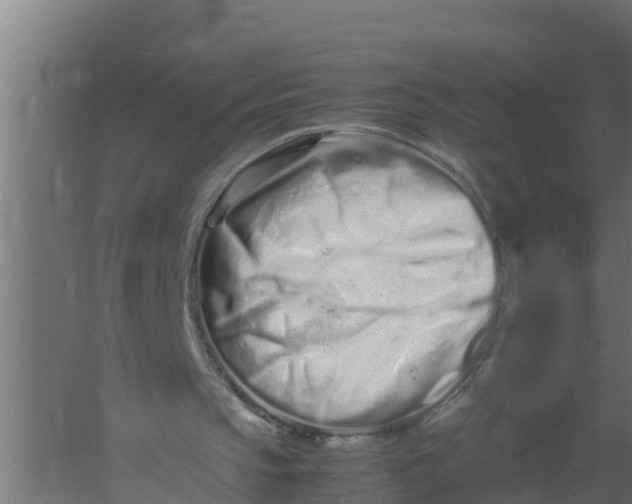 X0000059800145200511041636