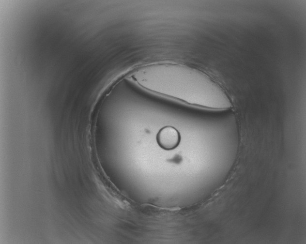 X0000059800146200511041636