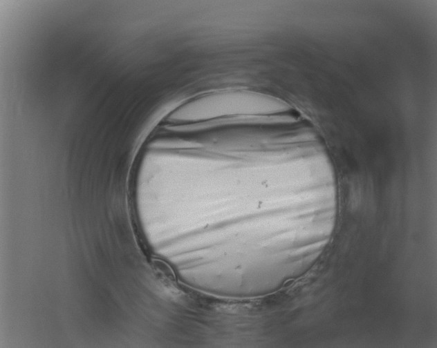 X0000059800147200511041636