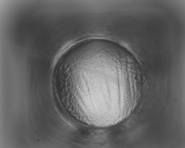 X0000059800151200511041636