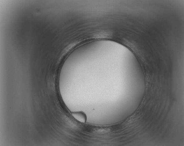 X0000059800155200511041636