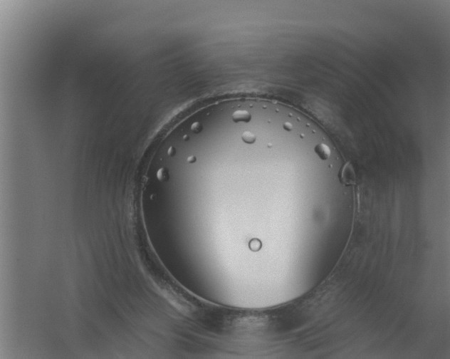 X0000059800156200511041636