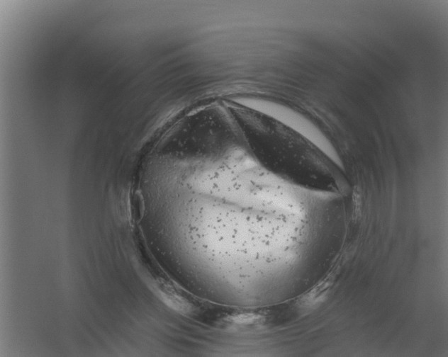 X0000059800158200511041636