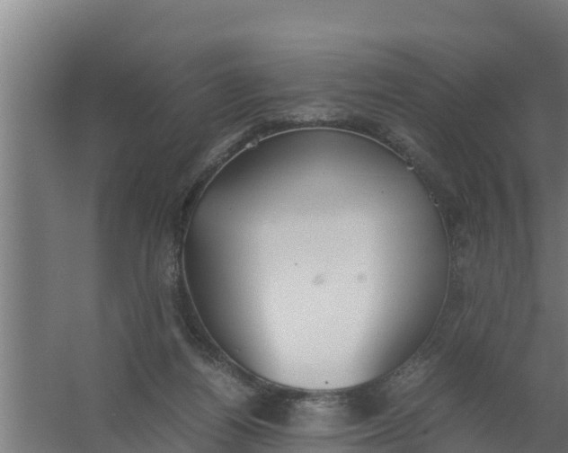 X0000059800164200511041636