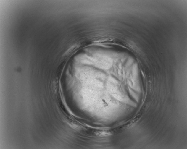 X0000059800165200511041636