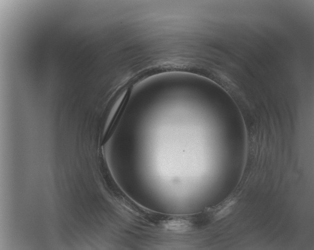 X0000059800168200511041636