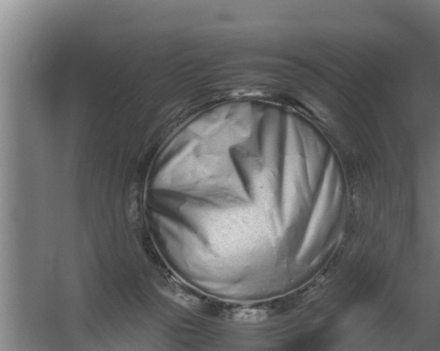 X0000059800169200511041636