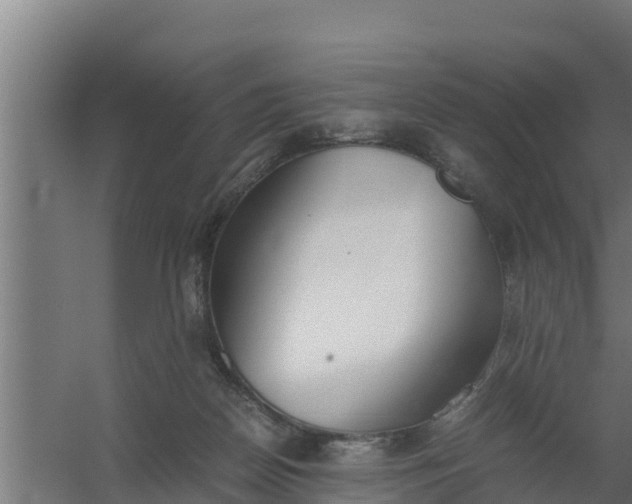 X0000059800170200511041636