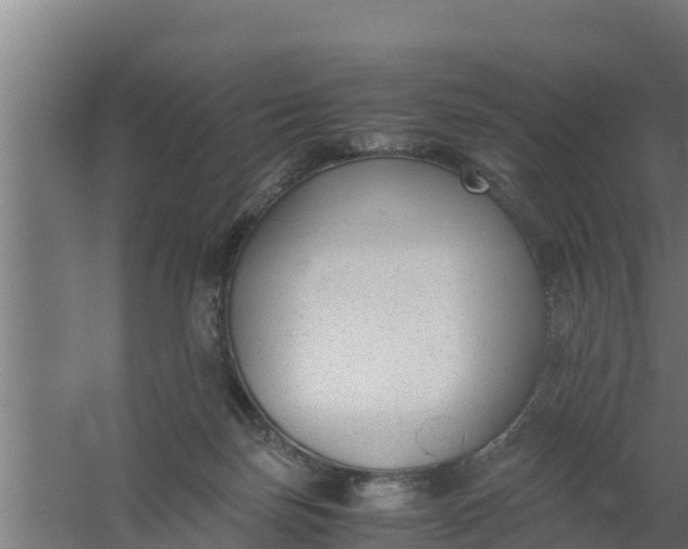 X0000059800171200511041636