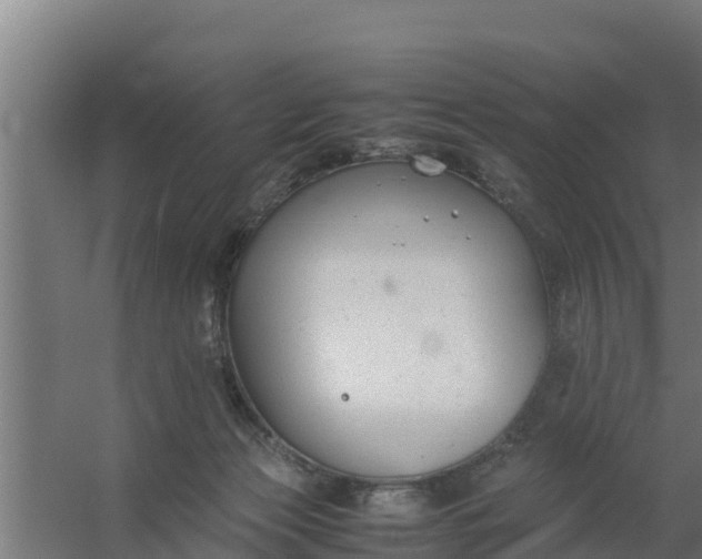 X0000059800173200511041636