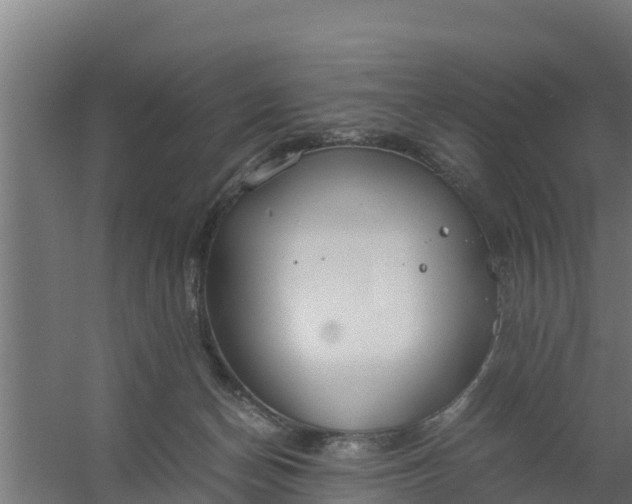 X0000059800174200511041636