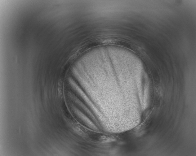 X0000059800175200511041636