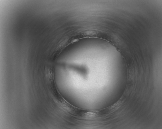 X0000059800176200511041636