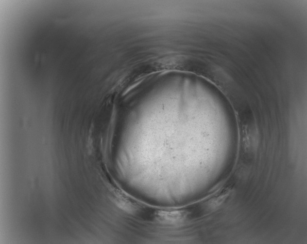 X0000059800181200511041637