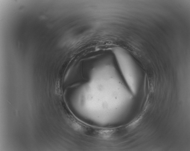 X0000059800182200511041637