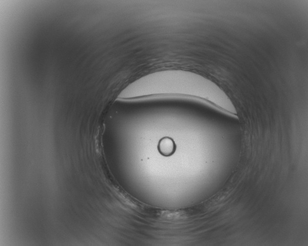 X0000059800185200511041637