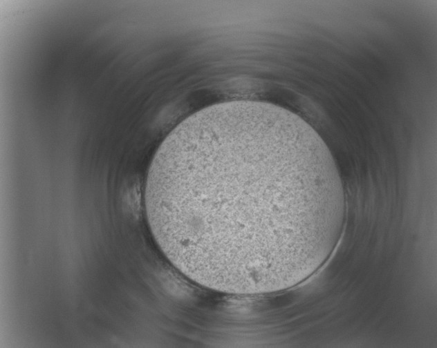 X0000059800190200511041637