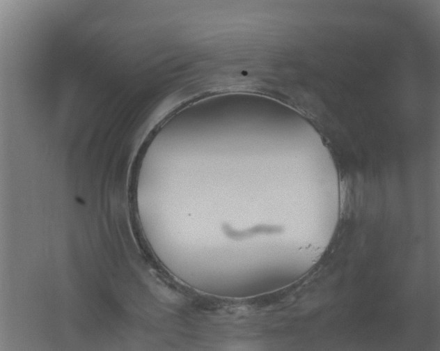 X0000059800195200511041636